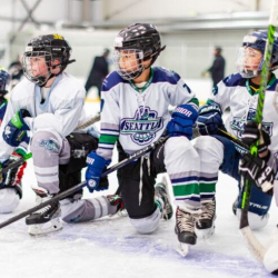 Youth Hockey