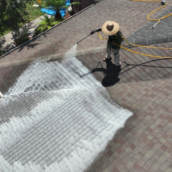 Roof Rejuvenation