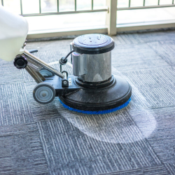 Rental - Carpet Cleaning