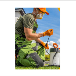  Residential Pest Control