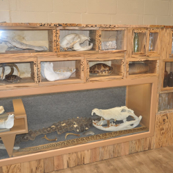 Education & Amenities