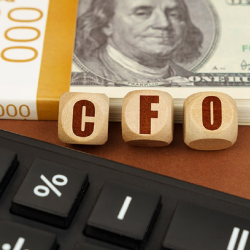 Fractional CFO Services
