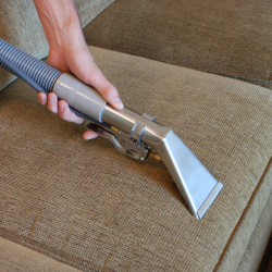 Professional Carpet & Upholstery Cleaning