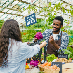 Farm Fresh Produce Market