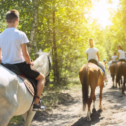 Horseback Riding Adventures