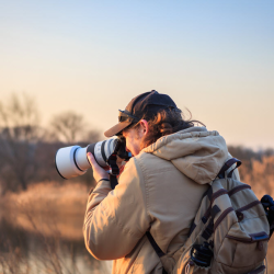 Wildlife and Nature Photography Tours