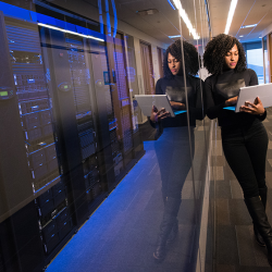 Information Technology (IT)