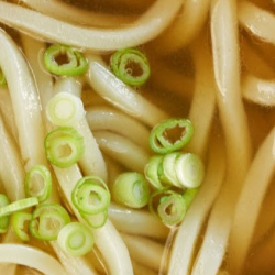 Udon Soup