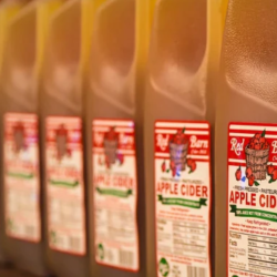 Apple Juice and Cider