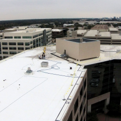 Roof Cleaning