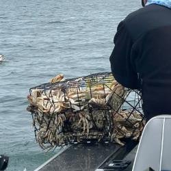 Drift Fishing