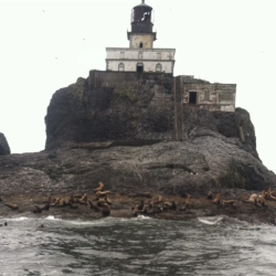 Terrible Tilly Sightseeing + Bottom Fishing with Crabbing