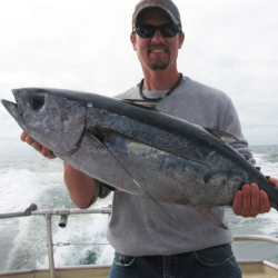 Tuna Fishing