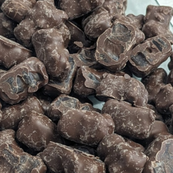 Chocolate Covered Gummy Bears