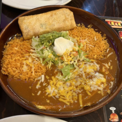 Chimichanga