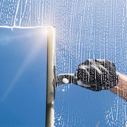 Customized Cleaning Plans