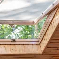 Skylight Window