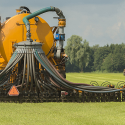 Mechanical Weed Removal