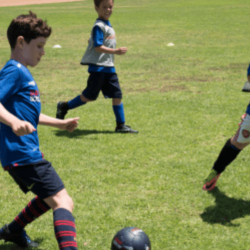 Soccer Stars United