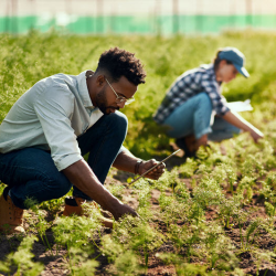 Vegetation Management Planning