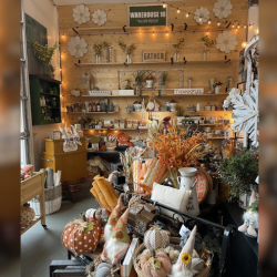 Fall Decor