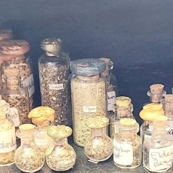 Herbal Consultation