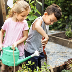 Consulting and Educating