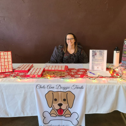 Business Pitch Workshops