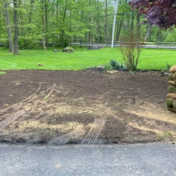 Sod Installation