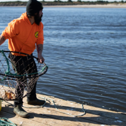 Crabbing