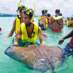 Group Cruises