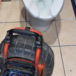 Toilet Repair and Installations