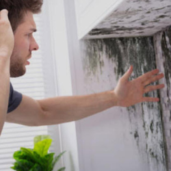 Moisture Removal