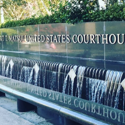 Lemon Law Litigation