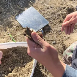 Land & Soil Evaluation Event