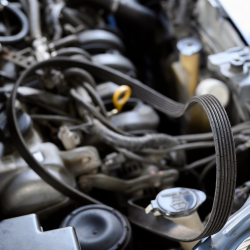 Serpentine Belt Replacement