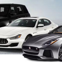 Exotic Car Collection