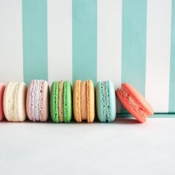 BOBAE x MACADONS: Macarons