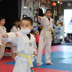 Advanced Martial Arts Training