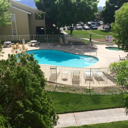 Pool and Spa