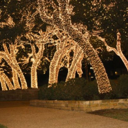 Year-Round Landscape Lighting