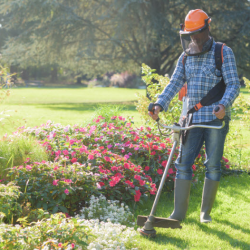 Landscape Maintenance