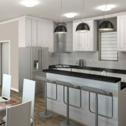 Kitchen Design and Coordination