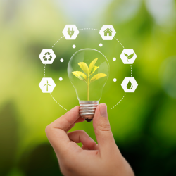 Energy Efficiency Solutions