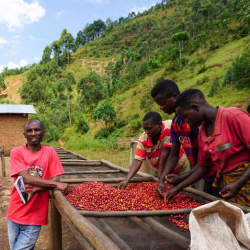 Connecting the World Through Coffee
