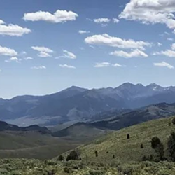 Portfolio Management