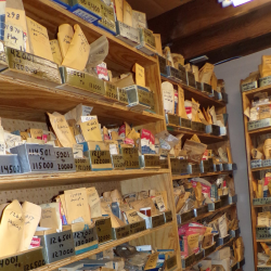 Evinrude/Johnson Vintage Parts Supply