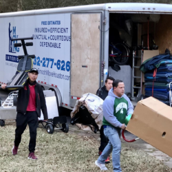 FREE Written Estimates