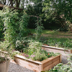 60 min Garden Consult