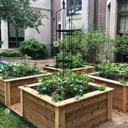 4x4 Mini Kitchen Garden